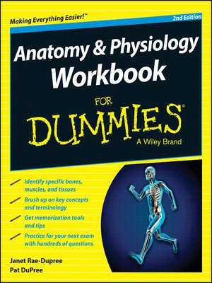 cover image of Anatomy and Physiology Workbook For Dummies